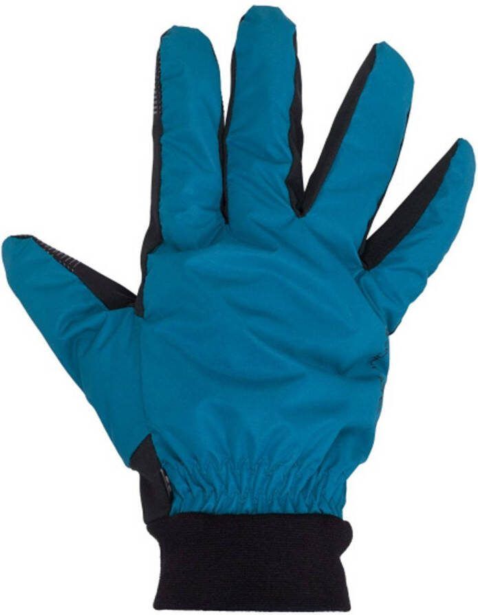 Starling Skihandschoenen Yule Polyester Blauw/xxl