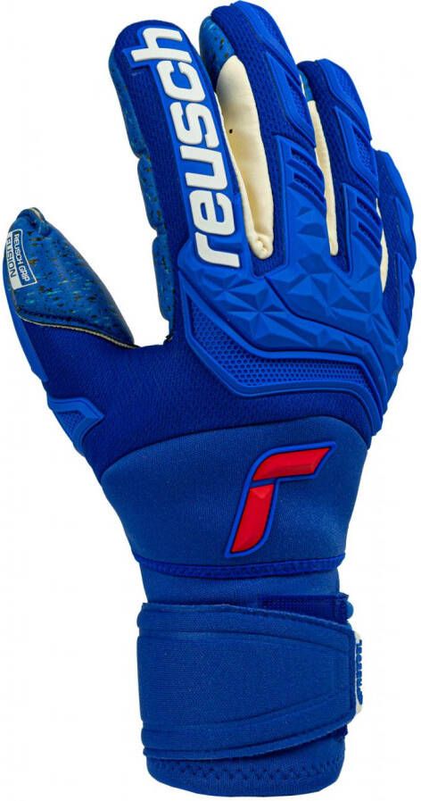 Reusch Attrakt Freegel Fusion Ortho Tec Goaliator