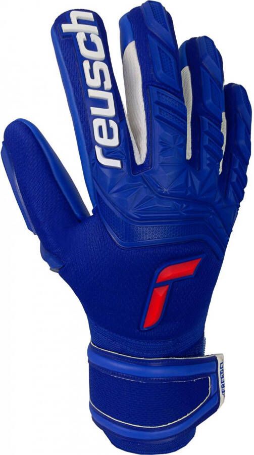 Reusch Attrakt Freegel Silver
