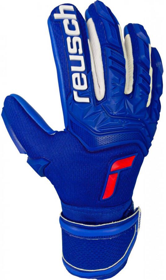 Reusch Attrakt Freegel Silver Jr