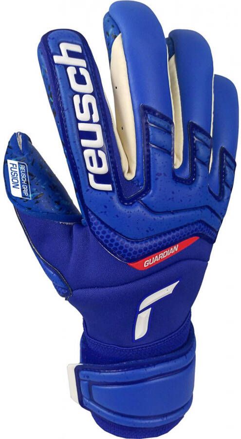Reusch Attrakt Fusion Guardian