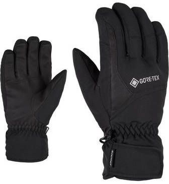 Ziener Skihandschoenen GARWEN GTX