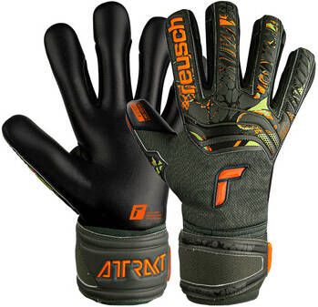 Reusch Handschoenen Gants de gardien Attrakt Freegel Silver