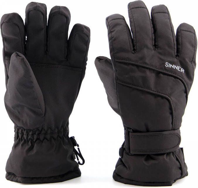 Sinner mesa skihandschoenen zwart heren